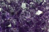 Deep Purple Amethyst Cluster - Uruguay #58135-1